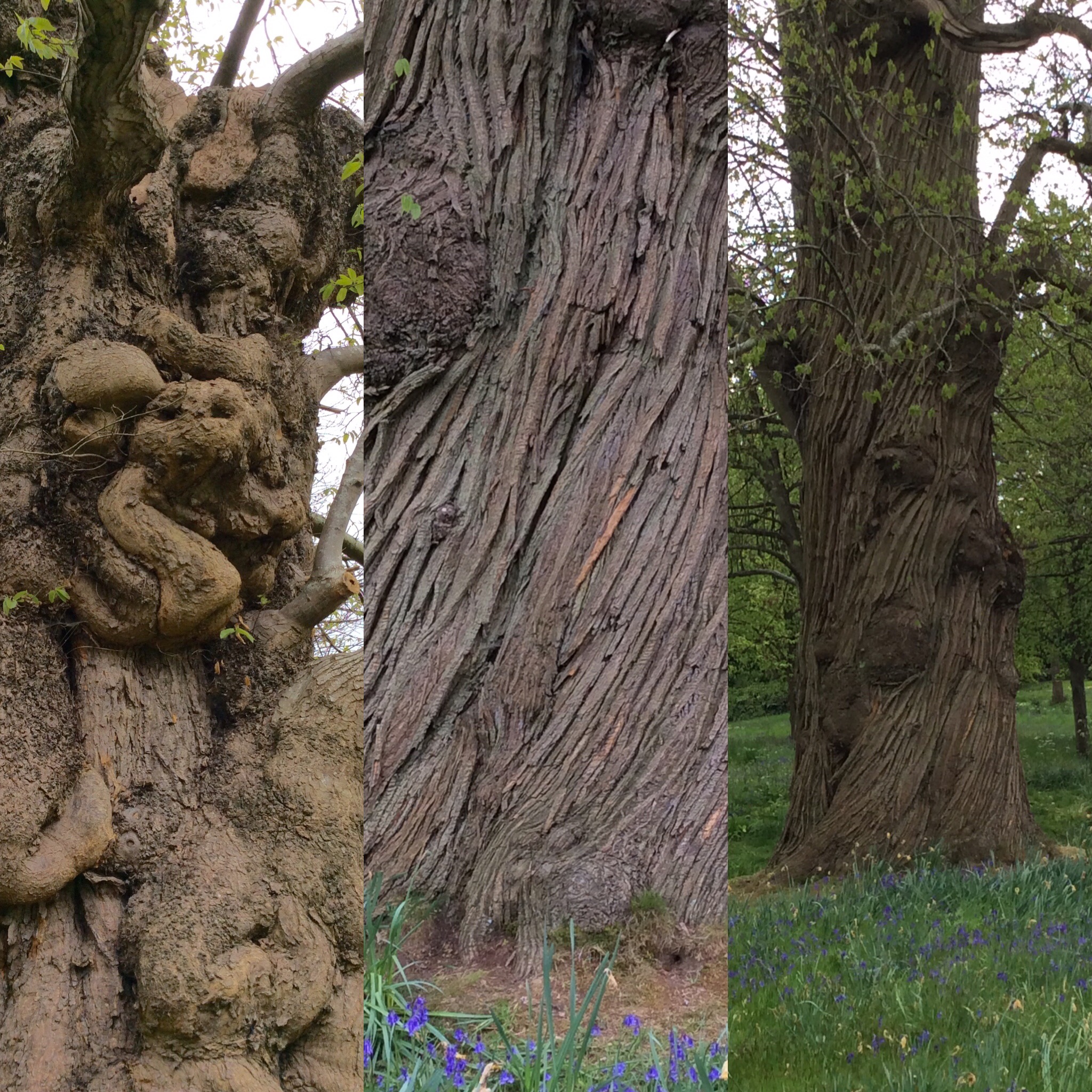 E01613CF-85F1-41E0-94BA-454CAE977797